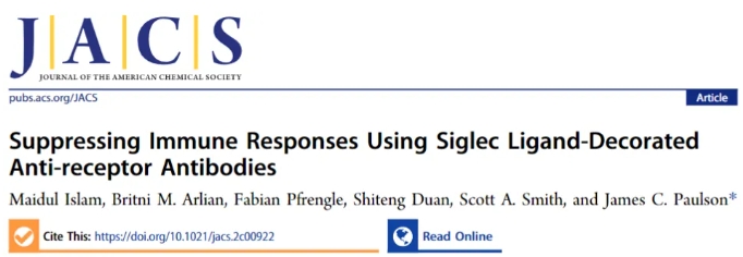 用Siglec配体修饰的抗受体抗体抑制免疫反应