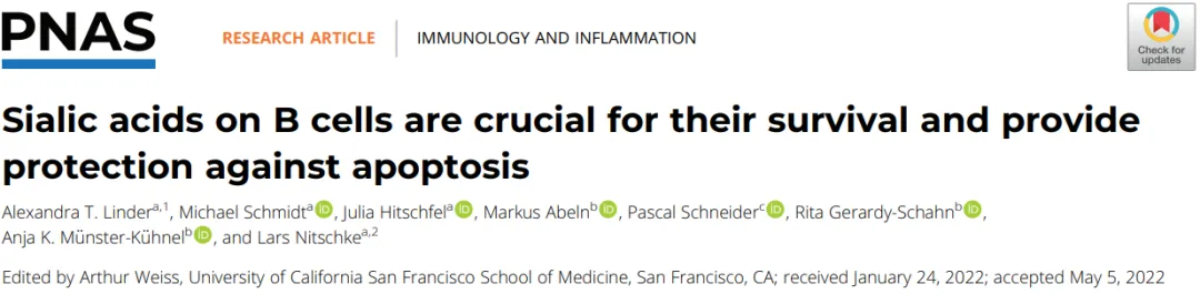 B细胞上的唾液酸对其生存至关重要，并对细胞凋亡提供保护