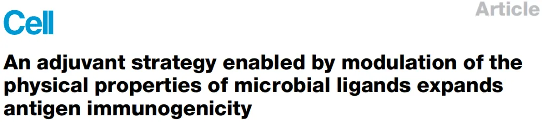 Cell：通过调节多糖配体的物理性质，从而实现含多糖佐剂疫苗的高免疫应答