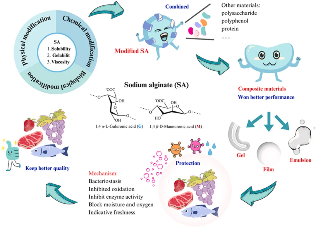 改性海藻酸钠在食品保鲜中的应用