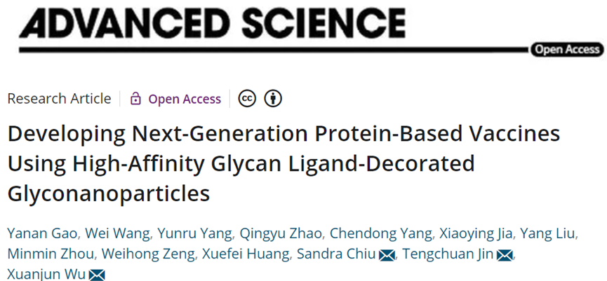 使用高亲和力聚糖配体修饰的葡聚糖纳米颗粒开发下一代蛋白质疫苗