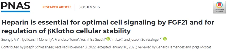 《PNAS》：肝素对FGF21的细胞信号传导和βKlotho的细胞稳定性的调节至关重要