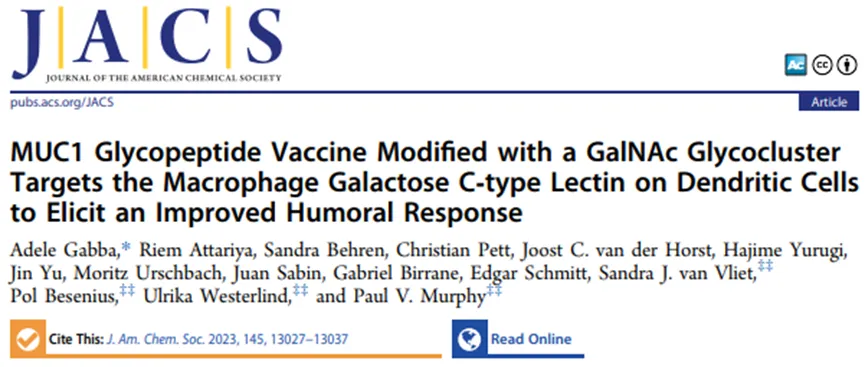 《JACS》：GalNAc糖簇修饰的MUC1糖肽疫苗通过靶向半乳糖C型凝集素增强体液免疫反应